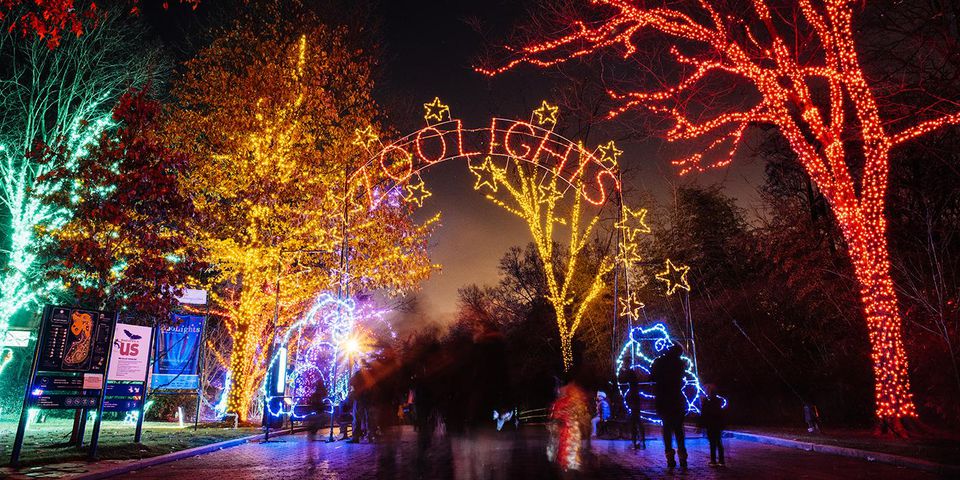 国家动物园Zoolights