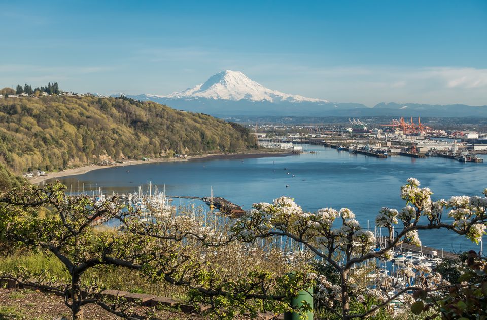 华盛顿州塔科马的风景山景