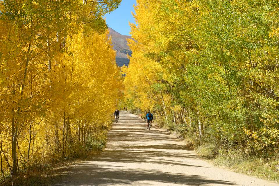 美国科罗拉多州布雷肯里奇滑雪胜地附近，在历史悠久的北风山口，山地自行车手和徒步旅行者在色彩斑斓的白杨林里享受美丽的秋日。