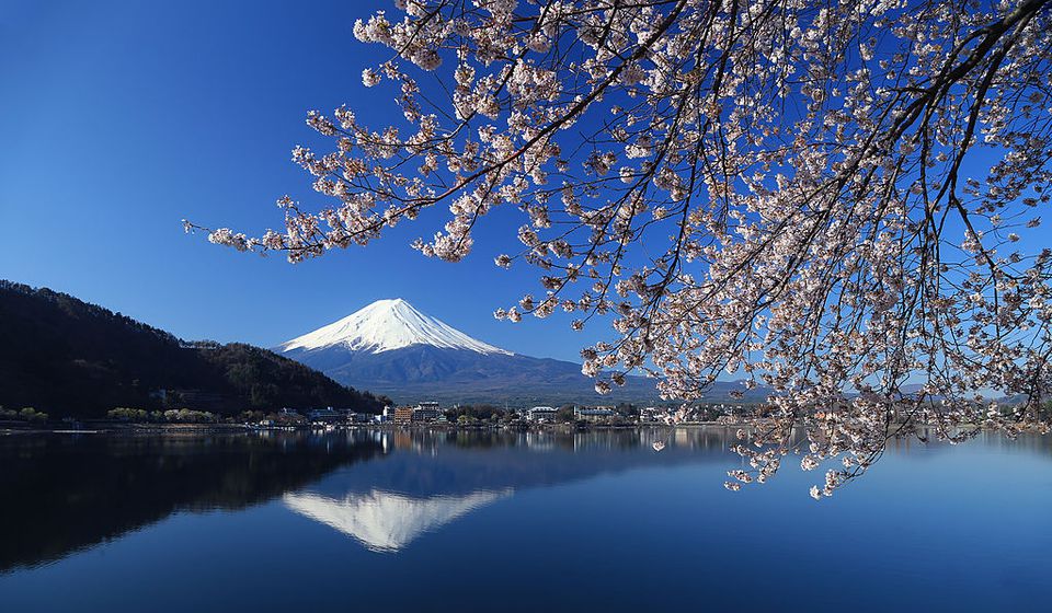 富士山与樱花