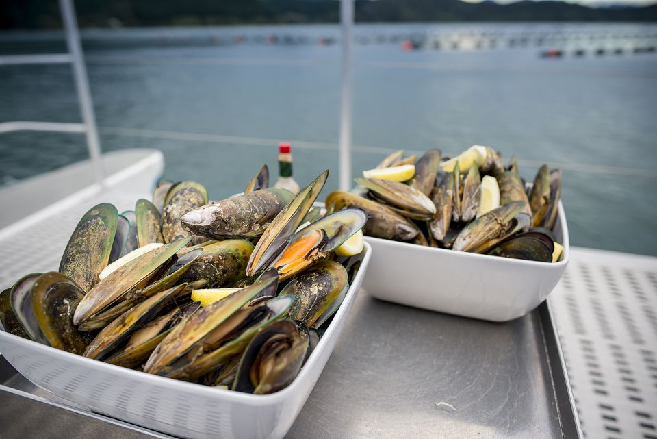 在白色碗的煮熟的淡菜有海在背景中