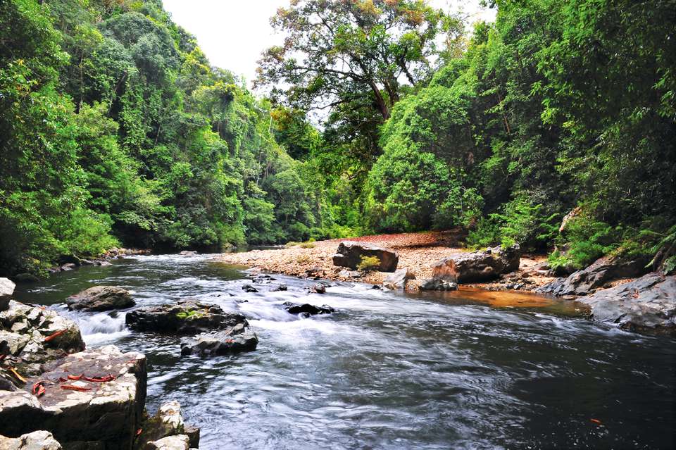 Kelah圣地位于Lubuk Tenor, Sungai Tahan, Taman Negara