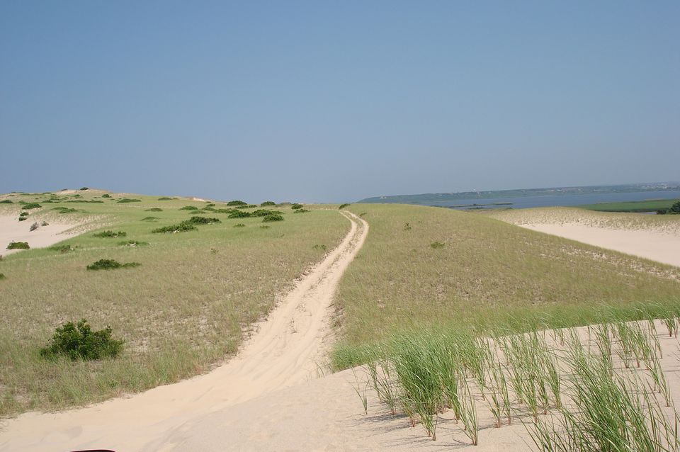 查看Cape Cod沙丘，艺术的沙丘之旅