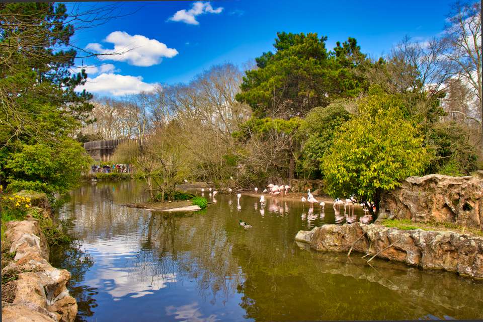 法国里昂金头公园(Parc de la Tete d'Or)的人工湖