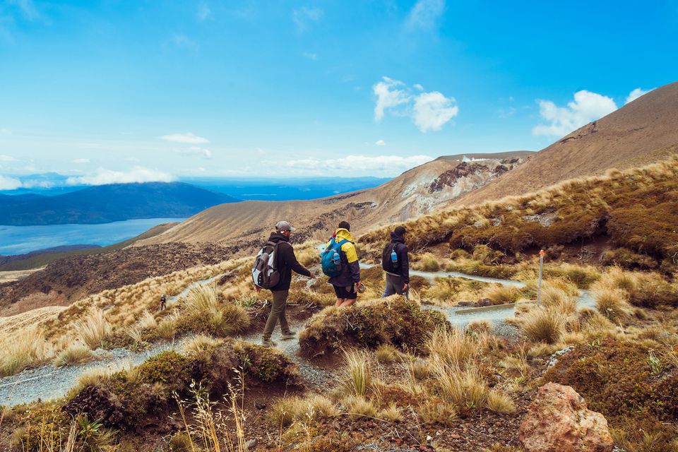 三个徒步旅行者沿着壮观的高山小道走。