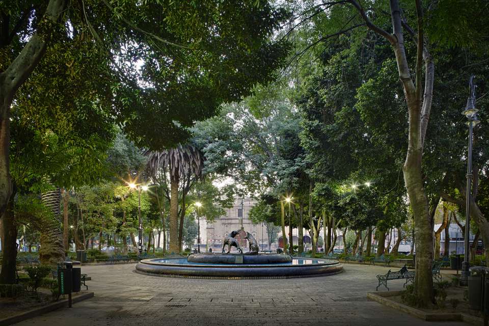 标志性的土狼喷泉在市中心的coyoacan