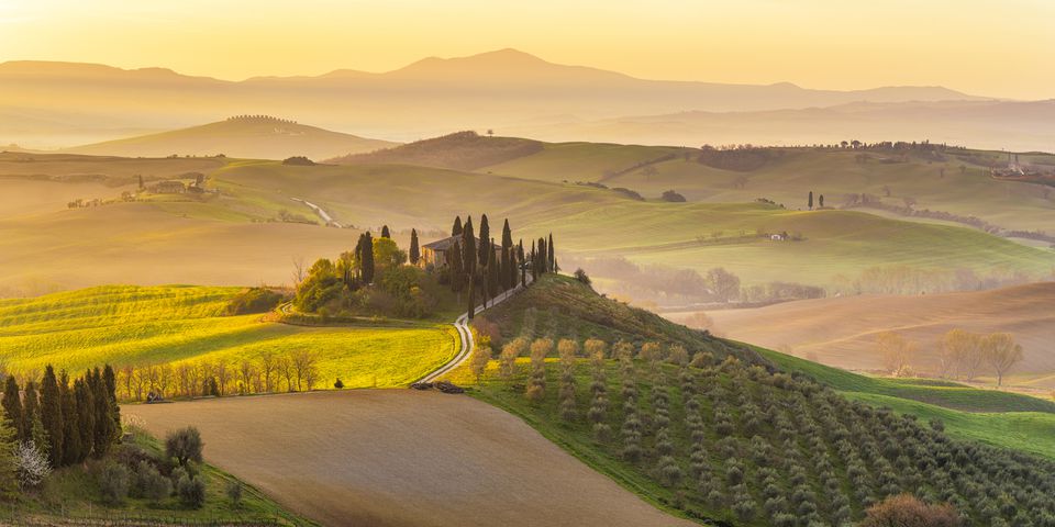 意大利，托斯卡纳，圣Quirico d'Orcia，Podere Belvedere，Green Hills，橄榄花园和小葡萄园在早晨的阳光下