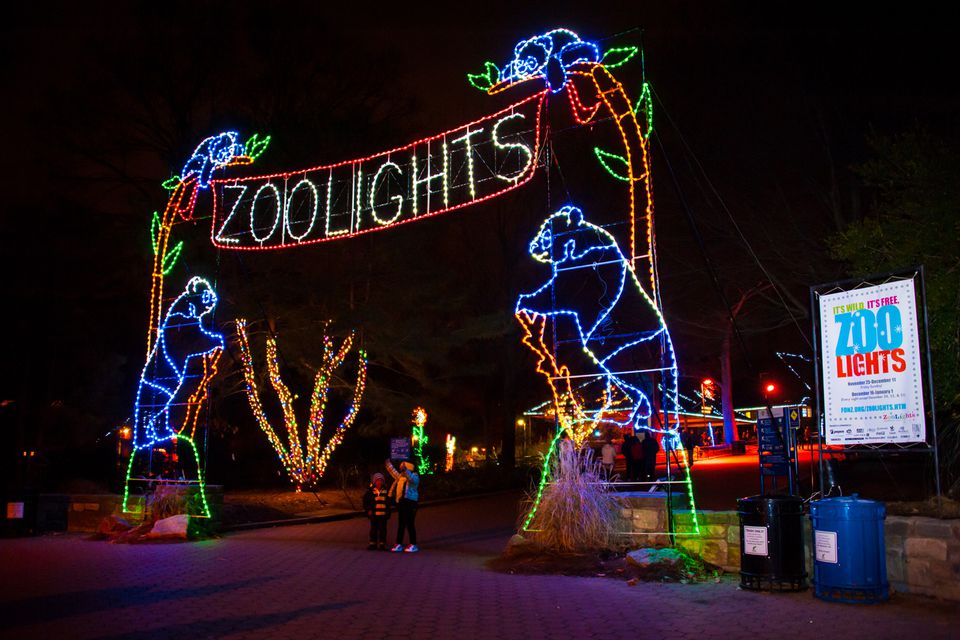 Zoolights