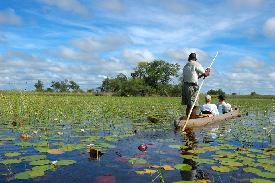 Mokoro乘坐Okavango Delta，博茨瓦纳