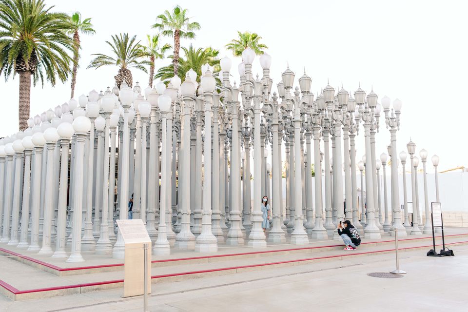 洛杉矶县艺术博物馆（Lacma），加利福尼亚州