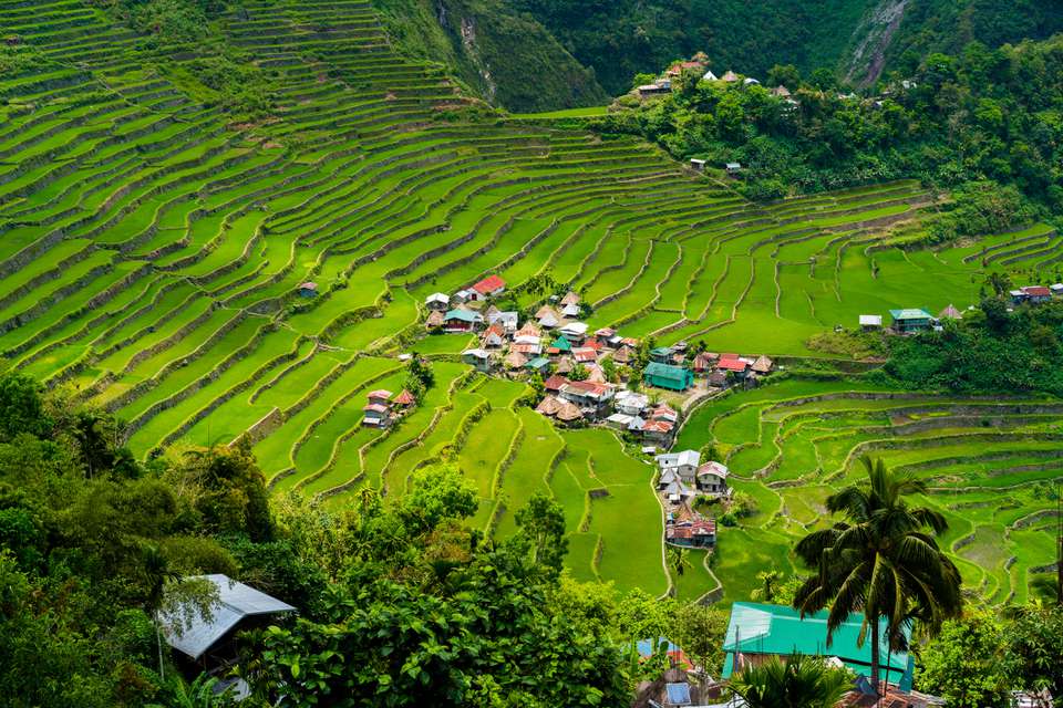 Banaue，菲律宾附近的巴达米梯田“class=