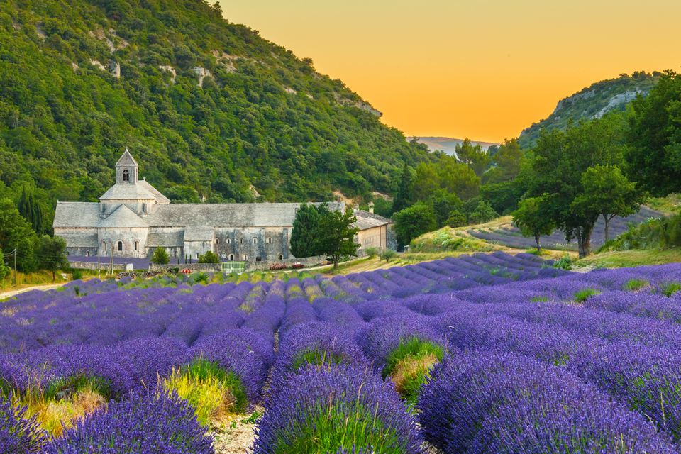 Abbaye de Senanque在普罗旺斯与Lavander Fields＂class=