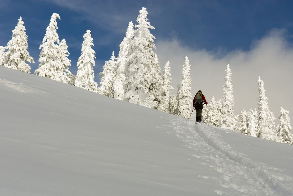 Backcountry Skiing.