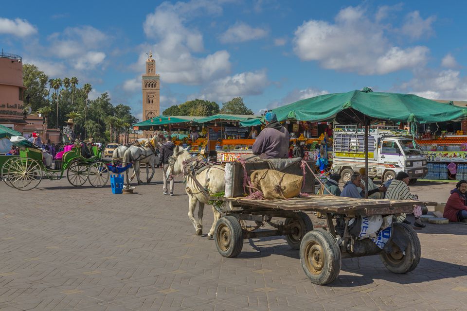 Jemaa el Fna广场上的马车