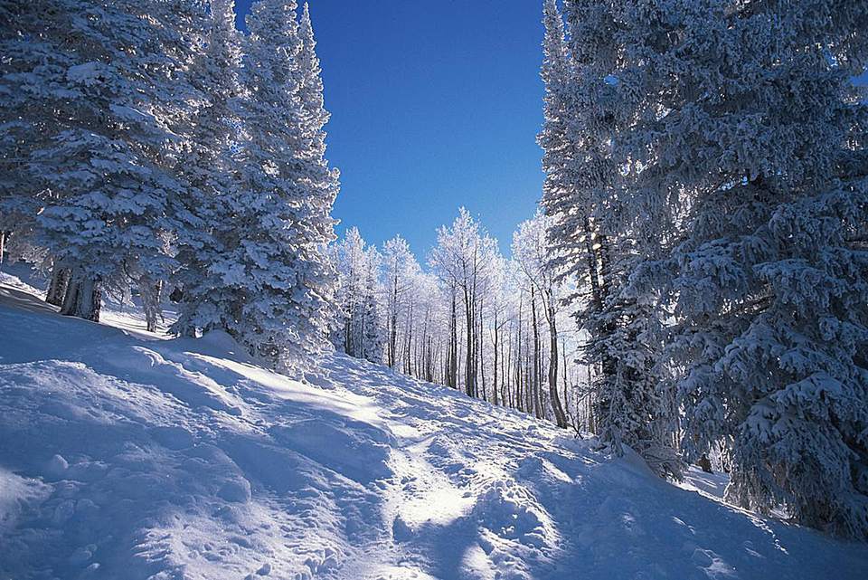 美国科罗拉多州蒸汽船滑雪场的新雪